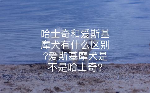 哈士奇和爱斯基摩犬有什么区别?爱斯基摩犬是不是哈士奇?