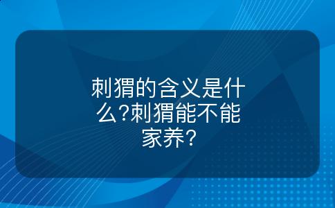 刺猬的含义是什么?刺猬能不能家养?