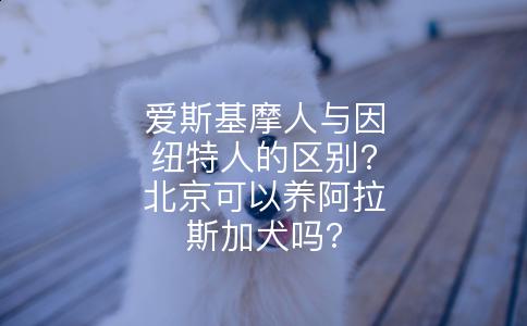 爱斯基摩人与因纽特人的区别?北京可以养阿拉斯加犬吗?