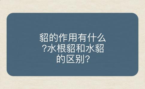 貂的作用有什么?水根貂和水貂的区别?