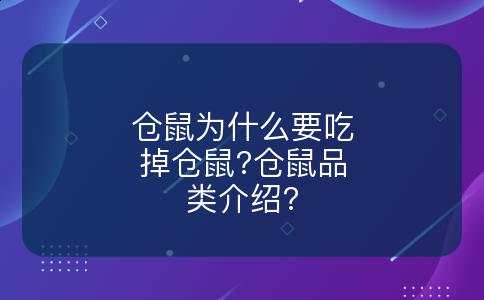 仓鼠为什么要吃掉仓鼠?仓鼠品类介绍?