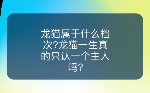 龙猫属于什么档次?龙猫一生真的只认一个主人吗?