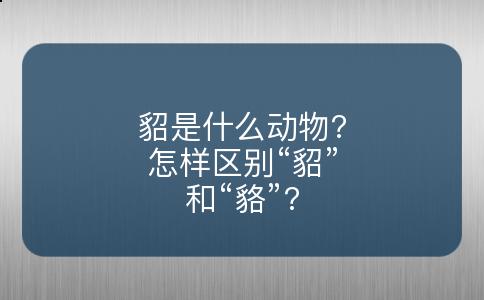 貂是什么动物?怎样区别“貂”和“貉”?