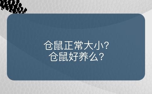 仓鼠正常大小?仓鼠好养么?