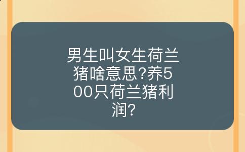 男生叫女生荷兰猪啥意思?养500只荷兰猪利润?