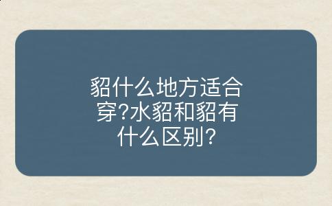 貂什么地方适合穿?水貂和貂有什么区别?