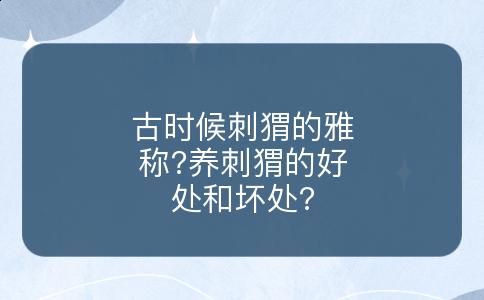 古时候刺猬的雅称?养刺猬的好处和坏处?