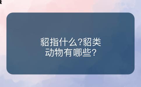 貂指什么?貂类动物有哪些?