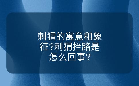 刺猬的寓意和象征?刺猬拦路是怎么回事?