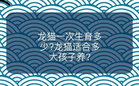 龙猫一次生育多少?龙猫适合多大孩子养?