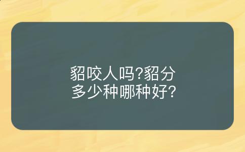 貂咬人吗?貂分多少种哪种好?