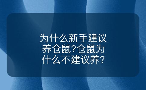 为什么新手建议养仓鼠?仓鼠为什么不建议养?