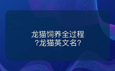 龙猫饲养全过程?龙猫英文名?