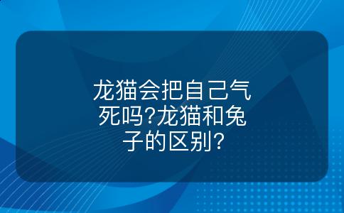 龙猫会把自己气死吗?龙猫和兔子的区别?