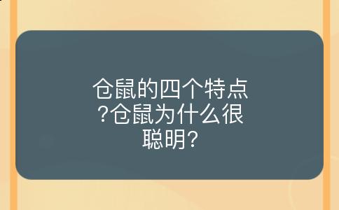 仓鼠的四个特点?仓鼠为什么很聪明?