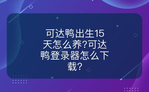 可达鸭出生15天怎么养?可达鸭登录器怎么下载?