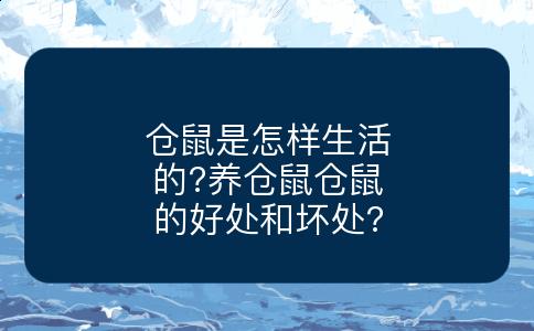 仓鼠是怎样生活的?养仓鼠仓鼠的好处和坏处?