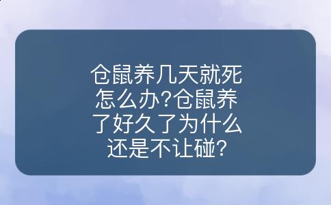 仓鼠养几天就死怎么办?仓鼠养了好久了为什么还是不让碰?