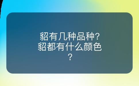 貂有几种品种?貂都有什么颜色?