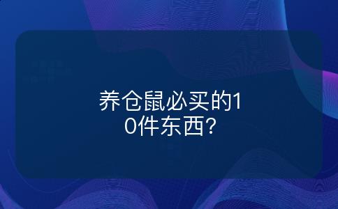 养仓鼠必买的10件东西?