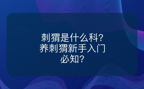 刺猬是什么科?养刺猬新手入门必知?