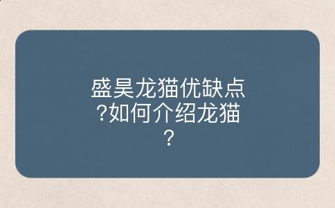 盛昊龙猫优缺点?如何介绍龙猫?