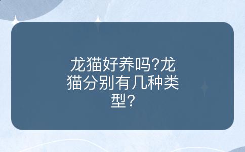 龙猫好养吗?龙猫分别有几种类型?