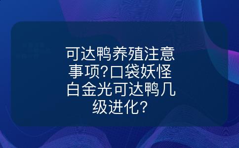 可达鸭养殖注意事项?口袋妖怪白金光可达鸭几级进化?