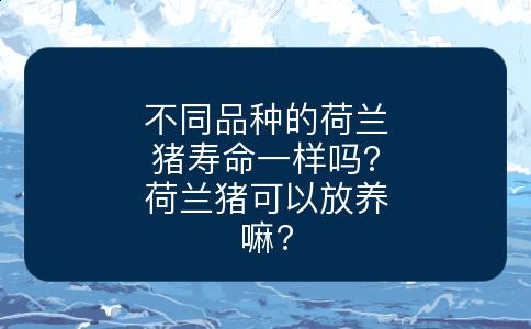 不同品种的荷兰猪寿命一样吗?荷兰猪可以放养嘛?