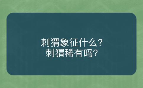 刺猬象征什么?刺猬稀有吗?