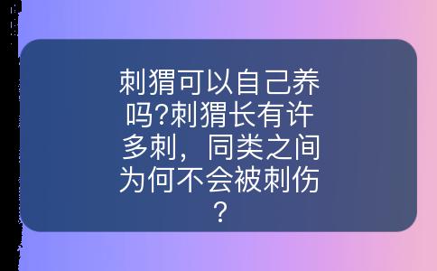 刺猬可以自己养吗?刺猬长有许多刺，同类之间为何不会被刺伤?