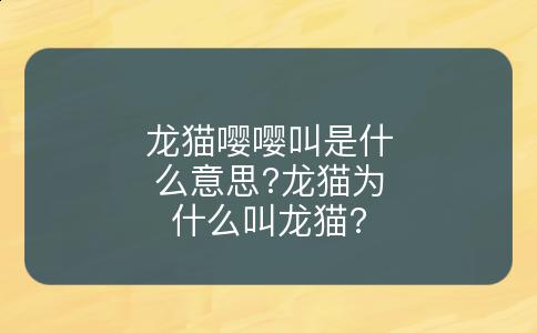 龙猫嘤嘤叫是什么意思?龙猫为什么叫龙猫?