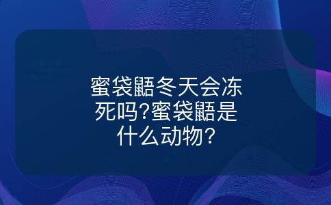 蜜袋鼯冬天会冻死吗?蜜袋鼯是什么动物?