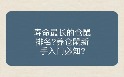 寿命最长的仓鼠排名?养仓鼠新手入门必知?