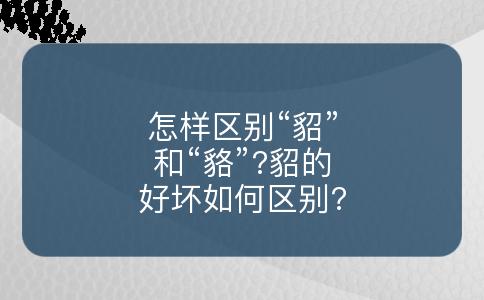 怎样区别“貂”和“貉”?貂的好坏如何区别?