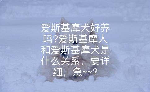 爱斯基摩犬好养吗?爱斯基摩人和爱斯基摩犬是什么关系，要详细，急~~?