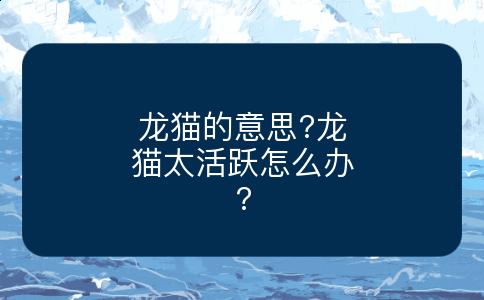 龙猫的意思?龙猫太活跃怎么办?