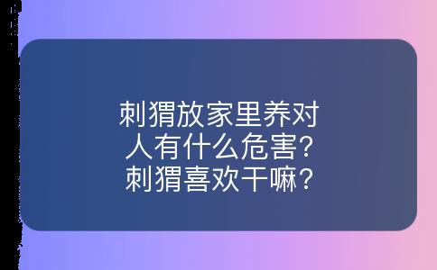 刺猬放家里养对人有什么危害?刺猬喜欢干嘛?