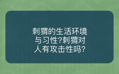 刺猬的生活环境与习性?刺猬对人有攻击性吗?