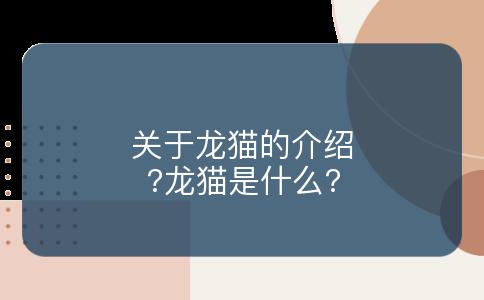 关于龙猫的介绍?龙猫是什么?