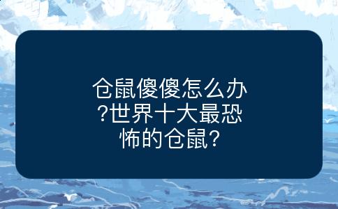 仓鼠傻傻怎么办?世界十大最恐怖的仓鼠?