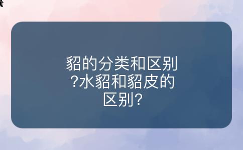 貂的分类和区别?水貂和貂皮的区别?