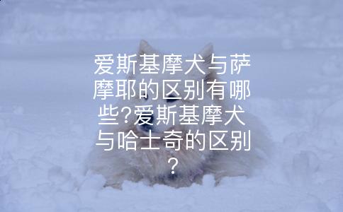 爱斯基摩犬与萨摩耶的区别有哪些?爱斯基摩犬与哈士奇的区别?