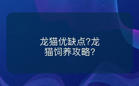 龙猫优缺点?龙猫饲养攻略?