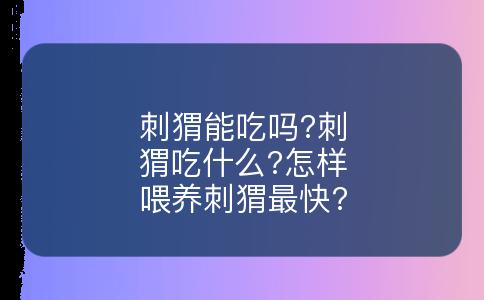 刺猬能吃吗?刺猬吃什么?怎样喂养刺猬最快?