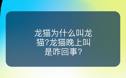 龙猫为什么叫龙猫?龙猫晚上叫是咋回事?