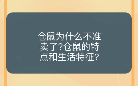 仓鼠为什么不准卖了?仓鼠的特点和生活特征?