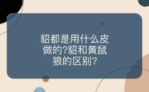 貂都是用什么皮做的?貂和黄鼠狼的区别?