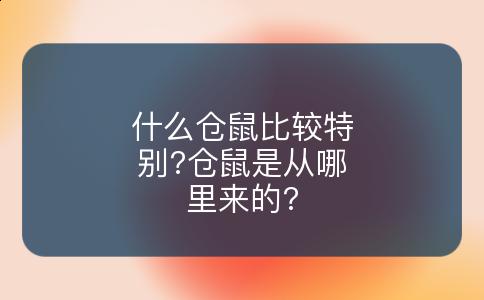 什么仓鼠比较特别?仓鼠是从哪里来的?