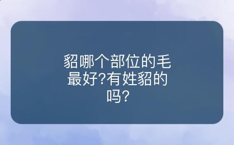 貂哪个部位的毛最好?有姓貂的吗?